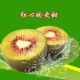 大別山紅心獼猴桃奇異果綠色有機(jī)新鮮水果中果4斤裝
