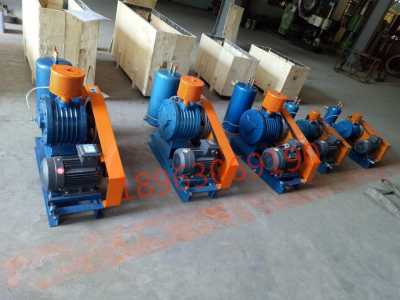 回轉(zhuǎn)式鼓風(fēng)機,水處理曝氣鼓風(fēng)機