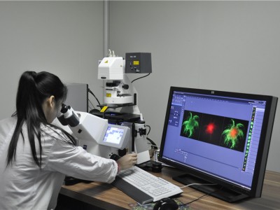 藝術(shù)材料和玩具TRA毒理性風(fēng)險評估報告辦理