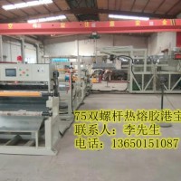 港寶機，港寶機器，低溫港寶機，熱熔膠港寶機，低溫熱熔膠港寶機