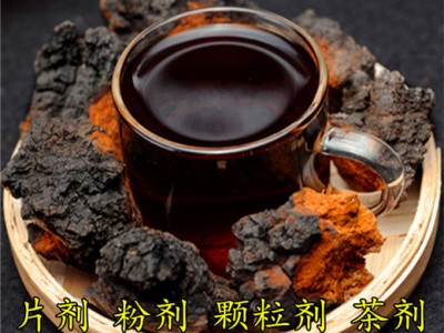 白樺茸茶 樺樹(shù)茸茶 樺樹(shù)淚茶 樺褐孔菌茶 OEM貼牌代加工