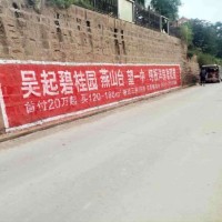 奉賢刷墻廣告實(shí)力創(chuàng)造價(jià)值奉賢墻面標(biāo)語