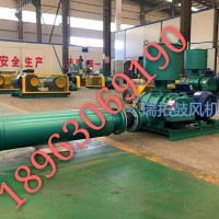 21年生產(chǎn)經(jīng)驗羅茨鼓風(fēng)機(jī)污水處理設(shè)備