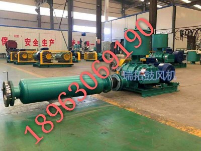 山東瑞拓鼓風機RTSR系列羅茨鼓風機