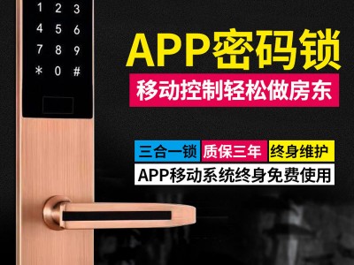 愛(ài)智達(dá)民宿密碼鎖 智能磁卡鎖感應(yīng)電子門(mén)鎖