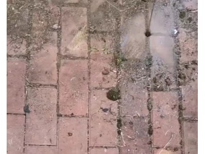 專業(yè)氣體檢測各種管道漏水點