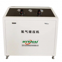 管道增壓泵 氧氣增壓機(jī)TNO-240蘇州廠家直銷(xiāo)