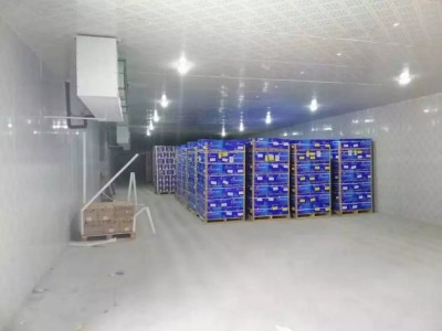 回收二手聚氨酯保溫板上?；厥諑r棉板