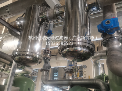 不銹鋼無(wú)硅過濾器AA0205F-SSC/SF