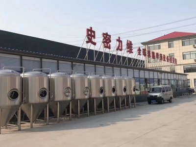 精釀啤酒設備生產廠家  河北定做大型精釀啤酒設備